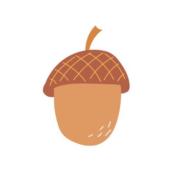 Hand drawn icon with acorn - vector illustration on white background