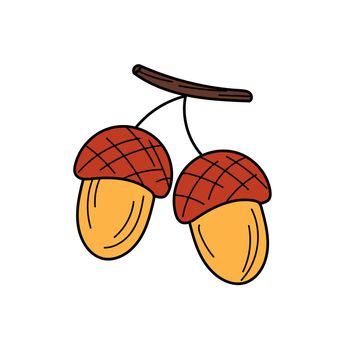 Acorn vector icon. Hand drawn print. Sticker design on white. Simple sketch design