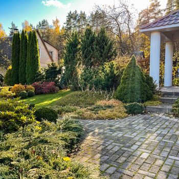 Landscaping of a garden with a green lawn, colorful decorative shrubs and shaped yew and boxwood, Buxus, in autumn. Gardening concept.