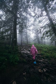 woman in raincoat walking by rainy forest