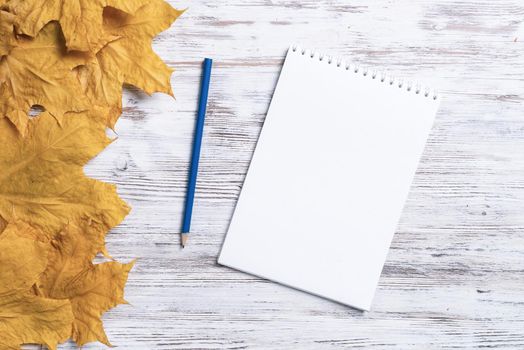 Spiral notepad and pen lies on vintage wooden desk with bright foliage. Flat lay composition with autumn leaves on white wooden surface. Day planning and relaxation. Blank notepaper with copy space