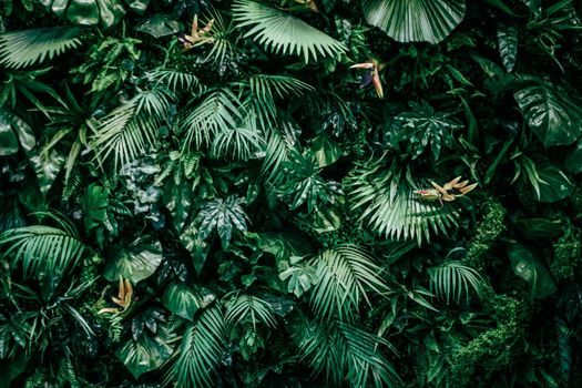 Tropical leaves as nature and environmental background, botanical garden and floral backdrop, plant growth and landscape design.