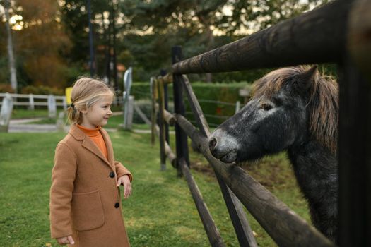 A little girl looking at a pony over the fence