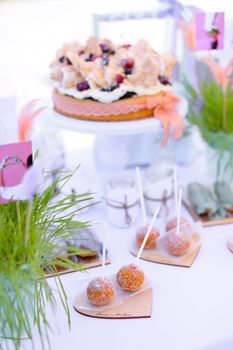 Yummy sweet cakes on white table for birthday party. Concept of sweets and tasty food.