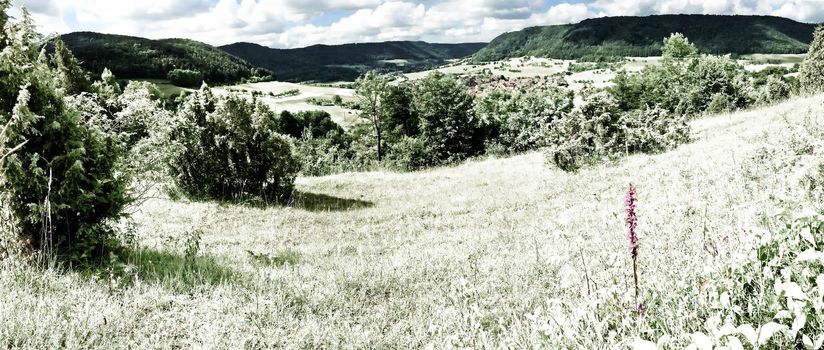 Gymnadenia orchid with panoramic view to the Swabian Alb, infrared