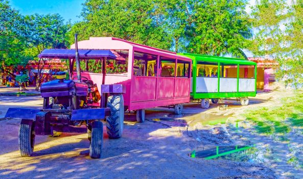 Tourist train, multi-colored cabins and a purple tractor. To the delight of tourists and their children.