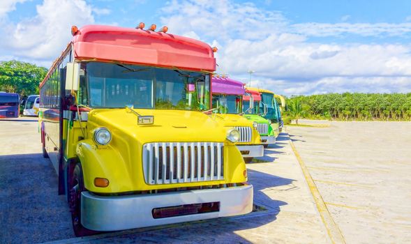Brightly painted tourist buses stand in a row in a large parking lot. Buses await tourists who come to relax in a large tropical park.