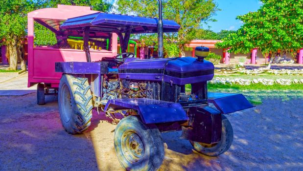 Tourist train, multi-colored cabins and a purple tractor. To the delight of tourists and their children.