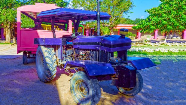Tourist train, multi-colored cabins and a purple tractor. To the delight of tourists and their children.