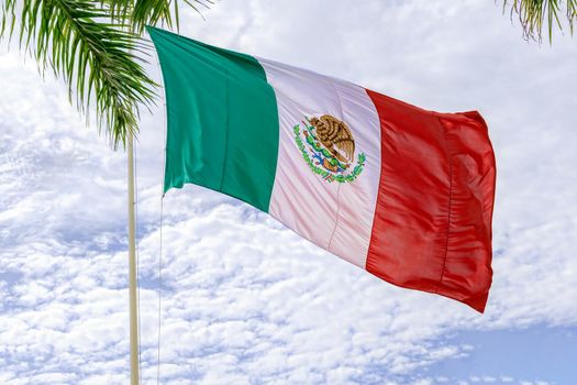 The flag of Mexico develops in the wind against a blue sky and tropical trees. United States of Mexico.