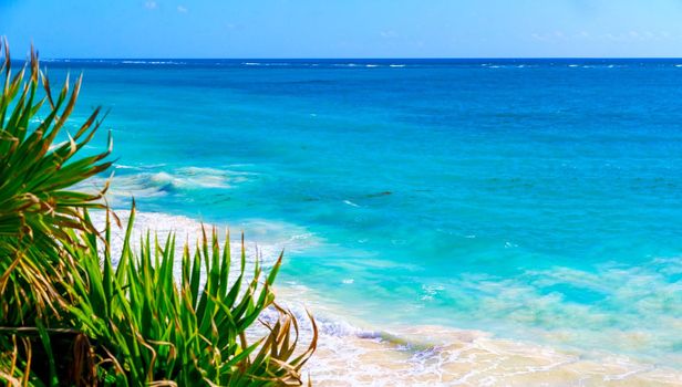 The rocky shore is covered with vegetation on the shore of the paradise blue lagoon of the warm tropical sea.