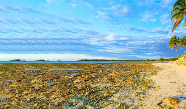 Sandy tropical beach on a hot sunny day. Panorama. Coast.