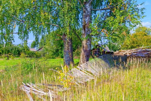 Old log house among dense trees in a village on the edge of Russia. A picturesque place for tourism.