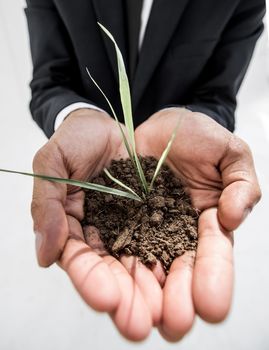 Concept of growing from plant in a hand