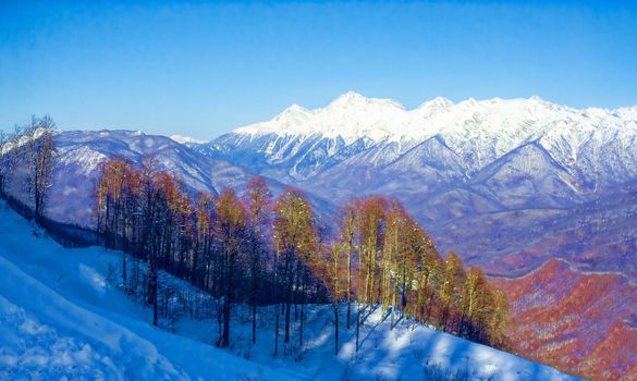 Magnificent view on a sunny frosty day, on the snow-covered mountain peaks lit by the morning sun. The concept of a family vacation, a photo on the advertising booklet. Sochi. Russia.