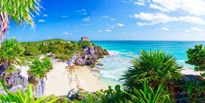 The rocky shore is covered with vegetation on the shore of the paradise blue lagoon of the warm tropical sea.