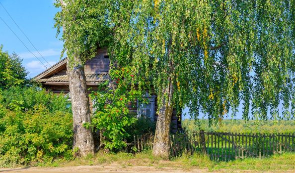Old log house among dense trees in a village on the edge of Russia. A picturesque place for tourism.