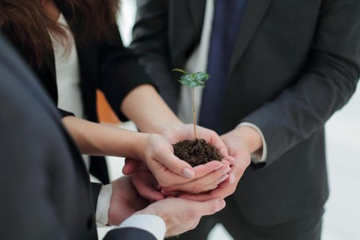 close up.Male and female business partners nurturing a new plant