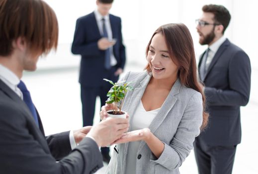businessman and businesswoman holding a pot with sprouts . the concept of eco-business.