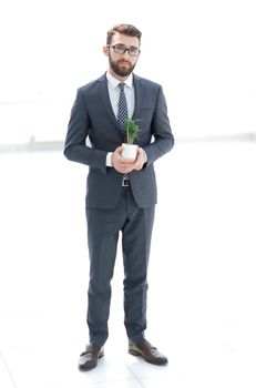 in full growth.businessman is holding a green young plant