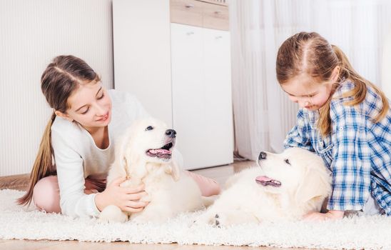 Smiling sisters stroking cute retriever puppies at home