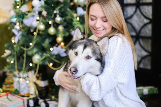 Portrait of young caucasian girl with husky, decorated fir tree in background.Concept of celebrating Christmas and New Year, pets and winter holidays.