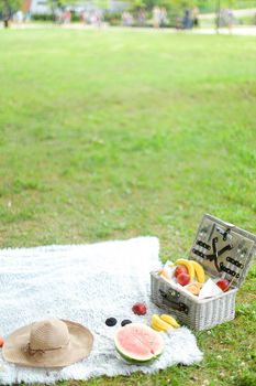 Box with fruits, hat and watermelon on plaid, grass in background. Concept of summer picnic, photo without people.