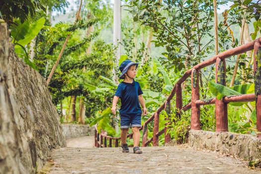 Boy traveler walks in the park in Asia.