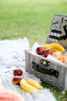 Convenient nice organizer for food, fruits on plaid and grass. Concept of picnic accessories and healthy food.