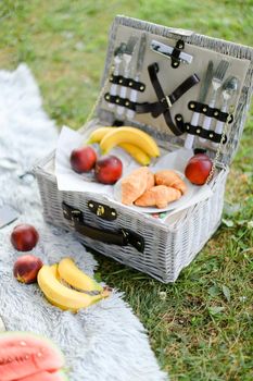 Convenient nice box for food, fruits on plaid and grass. Concept of picnic accessories and healthy food.