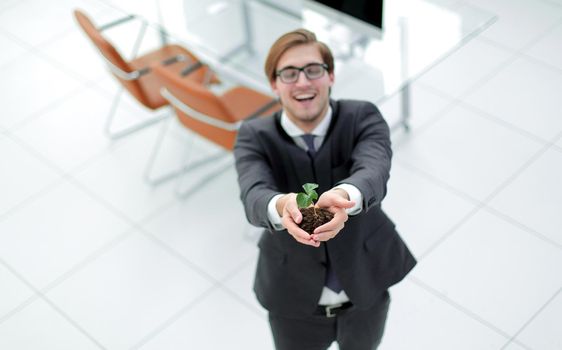 top view.young businessman showing green sprout