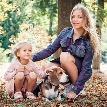 Smiling sisters playing with beagle dog in autumn forest