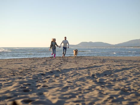 Couple Running On The Beach Holding Their Hands with dog On autmun day