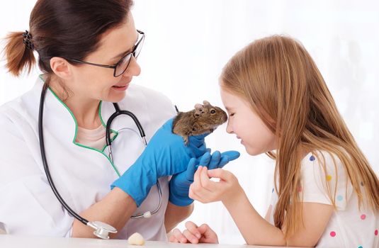 Veterinarian teaching funny little girl how to look after her pet degu