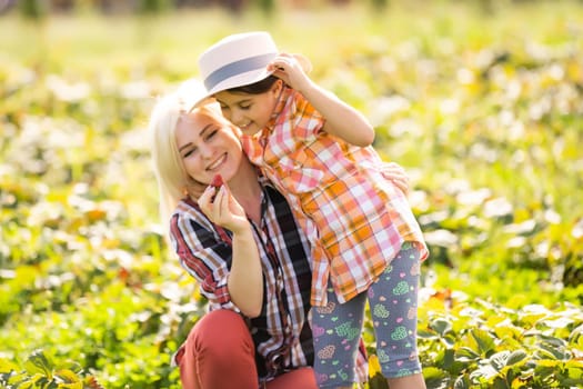 daughter and mother is working in the vegetables garden, harvested strawberries