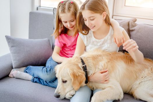 Smiling girls cuddling lovely dog in light room