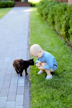 Little caucasian boy in jeans shirt standing with cat in yard. Concept of kids, childhood and pets.