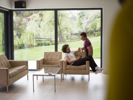 Gay Couple Love Home Concept. gay couple enjoying leisure time in living room