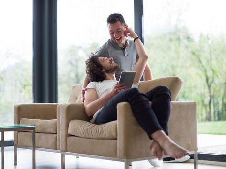 Gay Couple Love Home Concept. gay couple enjoying leisure time in living room