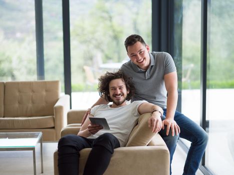 Gay Couple Love Home Concept. gay couple enjoying leisure time in living room
