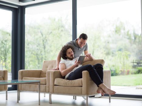 Gay Couple Love Home Concept. gay couple enjoying leisure time in living room