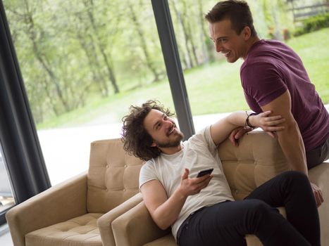 Gay Couple Love Home Concept. gay couple enjoying leisure time in living room