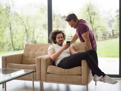 Gay Couple Love Home Concept. gay couple enjoying leisure time in living room