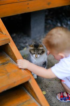 Little male baby playing with cat. Concept of child and pet.