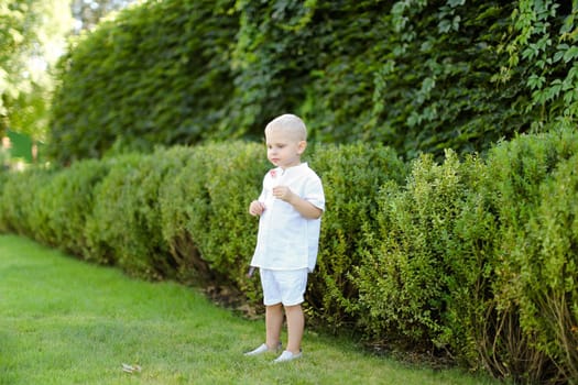 Little male kid wearing white clothes standing near green bushes. Concept of child and nature.