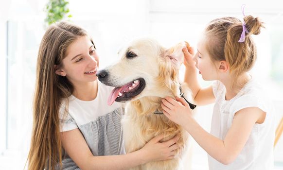 Smiling friends playing with cute dog in light apartment