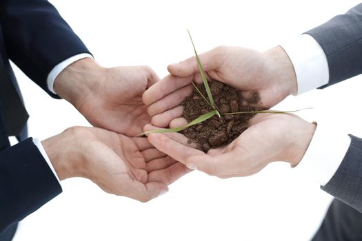 Hands holding a handful of soil from the middle germ. Ecology. On white, isolated fone.Top view