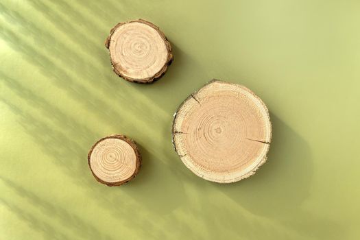 Three wooden disks lie on a trendy green background with flower shadows. A platform made of trees for luxury and natural cosmetics or products presentation. Wood tray mockup in the sunlight. Top view