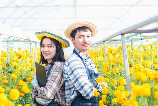 Portrait farmer young woman and man worker smiling in uniform standing arms crossed on marigold flower greenhouse garden, marigold gardening small business concept
