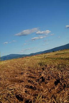 agricultural background   (NIKON D80; 6.7.2007; 1/100 at f/8; ISO 100; white balance: Auto; focal length: 29 mm)